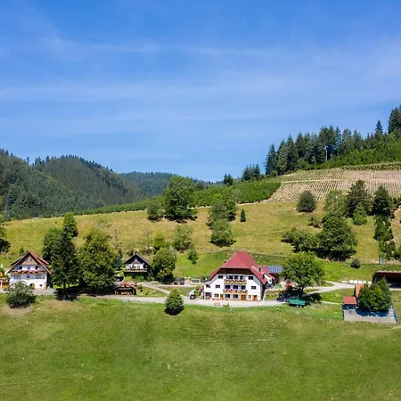 Hirzighof Schwarzwald Mit Panoramablick * Oppenau
