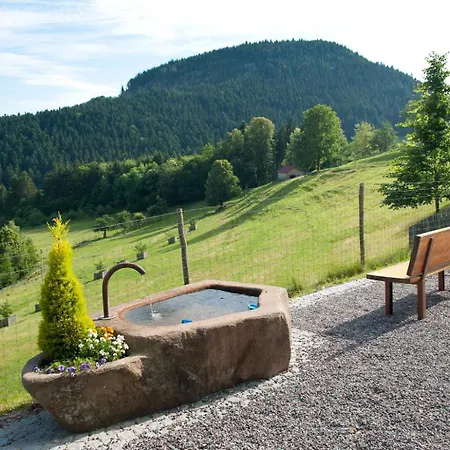 Hirzighof Schwarzwald Mit Panoramablick Apartman