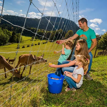 Hirzighof Schwarzwald Mit Panoramablick Apartman *