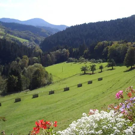 Hirzighof Schwarzwald Mit Panoramablick *