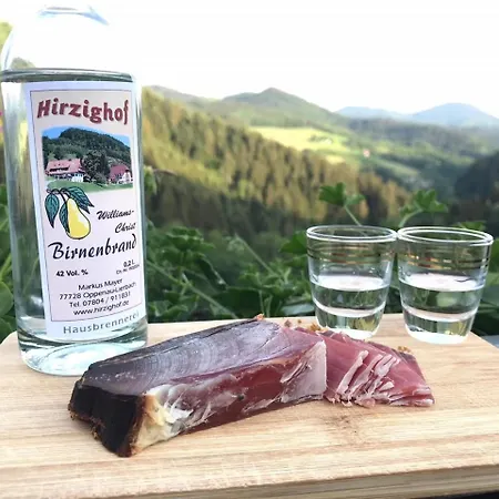 Hirzighof Schwarzwald Mit Panoramablick * Оппенау