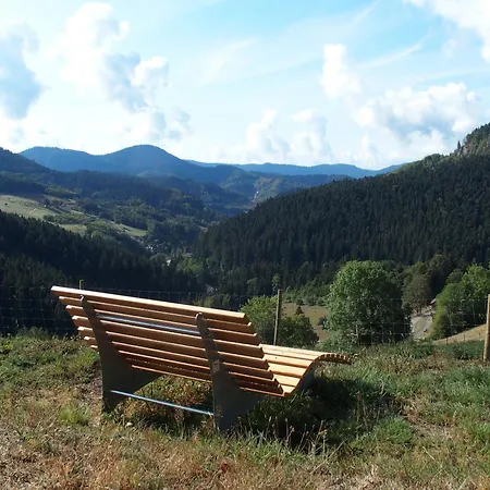 Hirzighof Schwarzwald Mit Panoramablick Apartman Oppenau