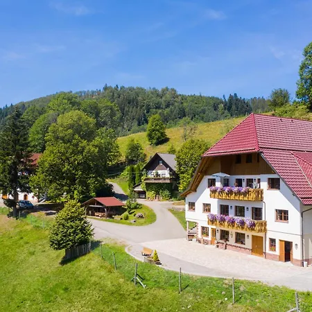 Hirzighof Schwarzwald Mit Panoramablick Apartman Oppenau