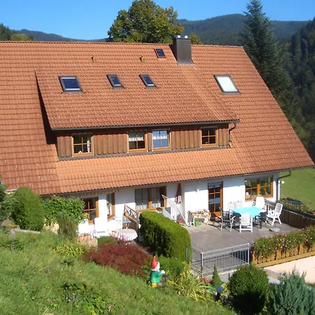 Hirzighof Schwarzwald Mit Panoramablick Apartman Oppenau