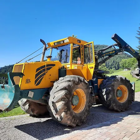 Hirzighof Schwarzwald Mit Panoramablick Apartman Oppenau